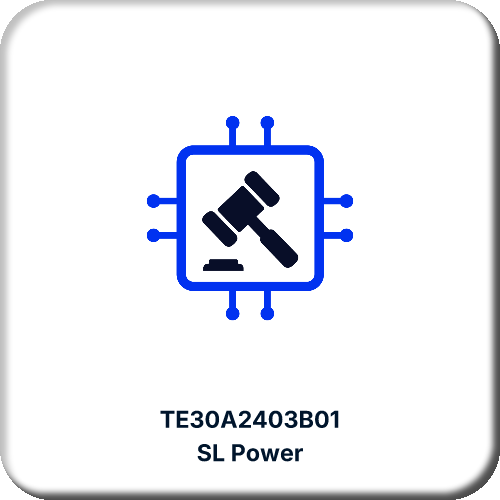 TE30A2403B01